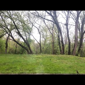 Meet your Posher, Sheila